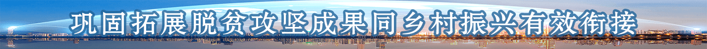 巩固脱贫攻坚成果